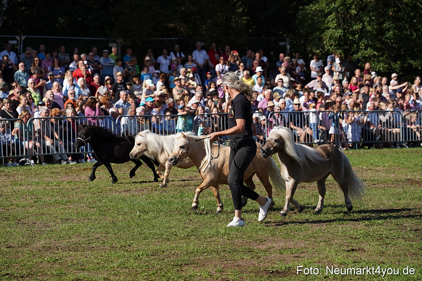 Pferde und Fohlenschau 2022 0067 